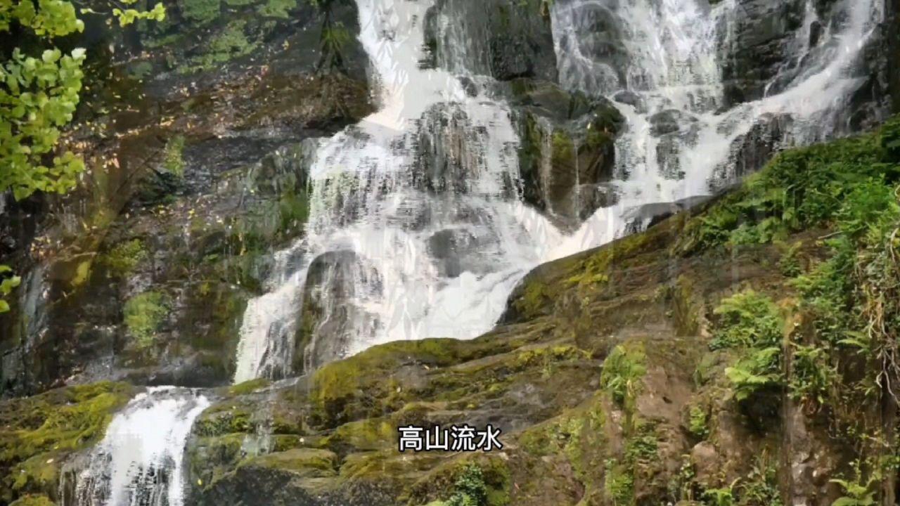 老虎的英文。游戏画面